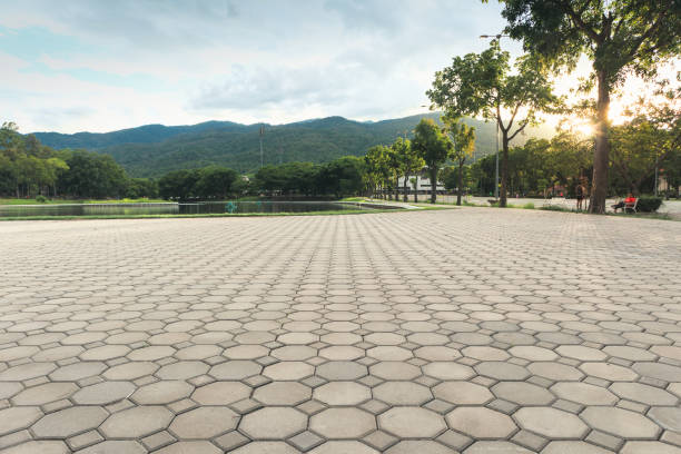 Best Residential Paver Driveway  in Newk, AR